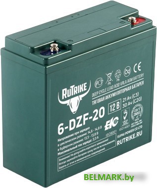Тяговый аккумулятор Rutrike 6-DZF-20 (30 А·ч) - фото