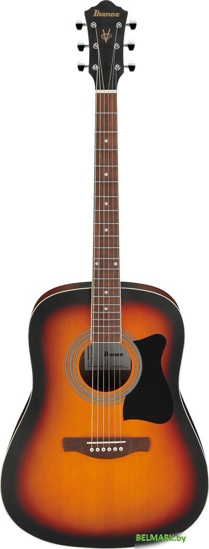 Акустическая гитара Ibanez V50NJP OVS - фото