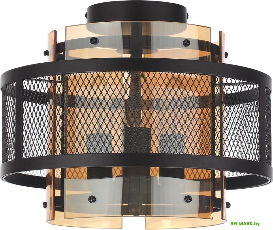 Люстра Lumion Zarina 8007/3C - фото