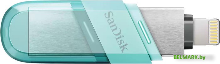 USB Flash SanDisk iXpand Flip 64GB SDIX90N-064G-GN6NK - фото