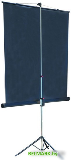 Проекционный экран Lumien Master View 153x153 (LMV-100102) - фото2