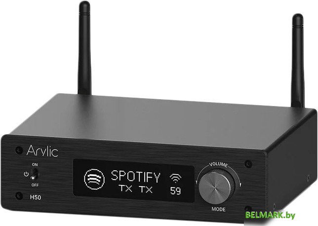 Сетевой интегральный усилитель Arylic H50 - фото