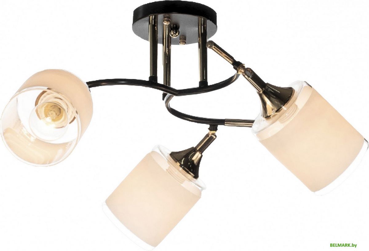 Спот Aitin Pro НПБ 02-3x60-101 N6089/3 (кофе/золото) - фото