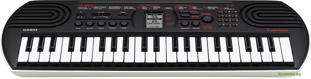 Синтезатор Casio SA-81 - фото