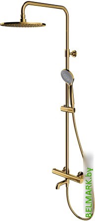 Душевая система Omnires Y1234ALGL - фото