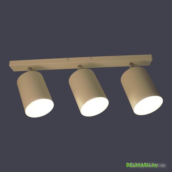 Спот Элетех НПБ 01-3х60-513 1005404515 (белый матовый) - фото2