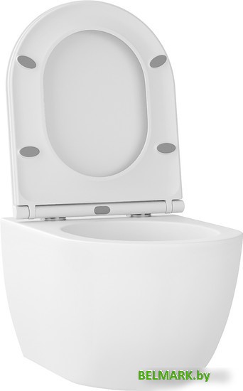 Унитаз подвесной Wellsee Chalice Perfection RimFree 182608001 (чаша, пневмокрышка, матовый белый) - фото2