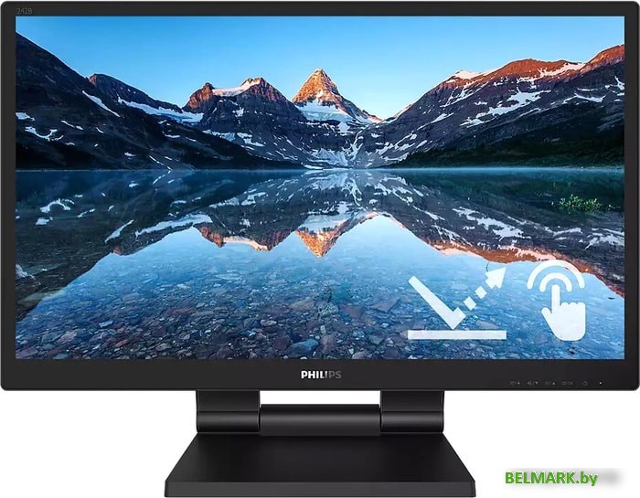 Монитор Philips 242B9TL/00 - фото