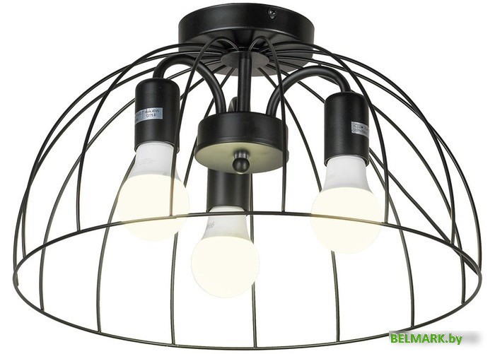 Припотолочная люстра Lussole Lattice LSP-8215 - фото