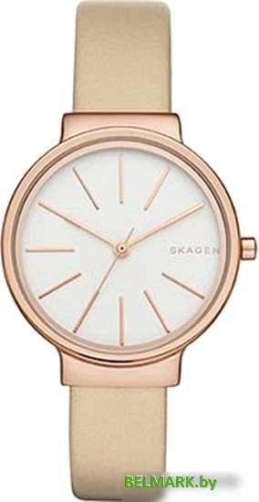 Наручные часы Skagen SKW2481 - фото