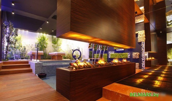 Электрокамин Dimplex Cassette 400 - фото2