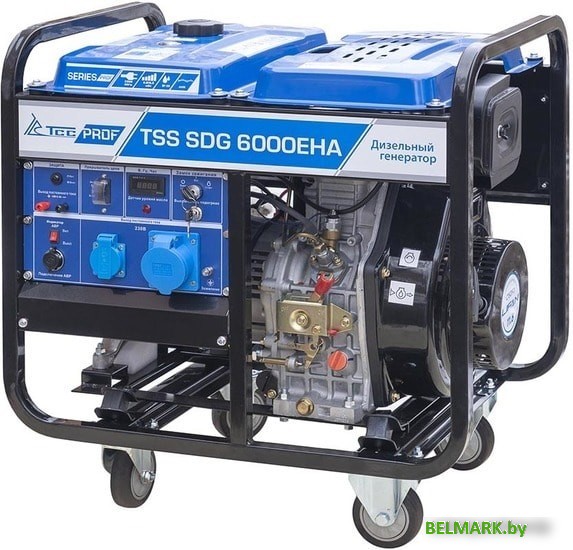 Дизельный генератор ТСС SDG 6000EHA - фото