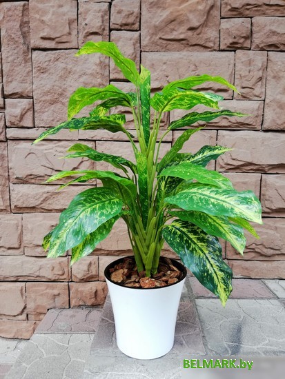 Искусственное растение Forgarden Диффенбахия в белом горшке BN10741 - фото