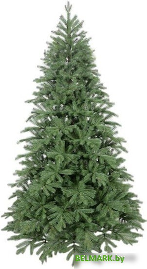 Ель GrandSiti Варна 2.4 м - фото
