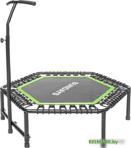 Батут Sundays Favorite 48&quot; (с ручкой, зеленый) - фото