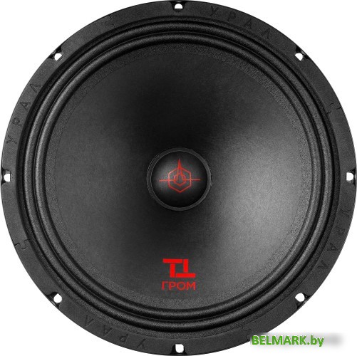 Мидбас Урал ТТ 250 Гром - фото