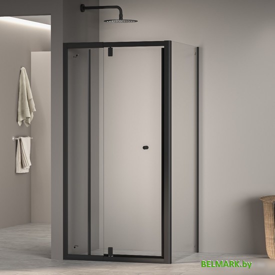 Душевой уголок RGW PA-32B (PA-02B + Z-050-1B) 41083200-014 100x100 (черный/прозрачное стекло) - фото