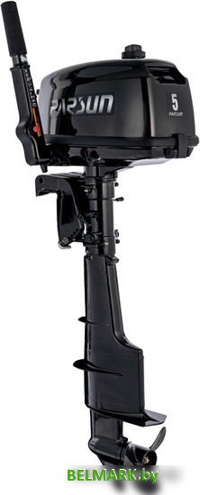 Лодочный мотор Parsun T 5 BMS - фото