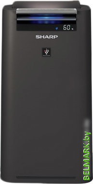 Очиститель и увлажнитель воздуха Sharp KC-G41RH - фото