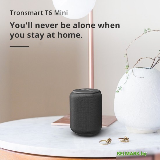 Беспроводная колонка Tronsmart T6 Mini (черный) - фото2