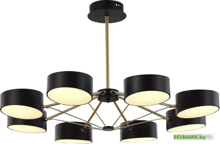 Люстра средней высоты Evoluce Valle SLE6005-402-08 - фото2