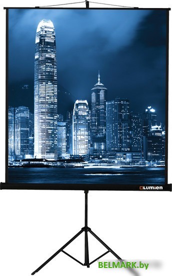 Проекционный экран Lumien Master View 244x244 (LMV-100105) - фото