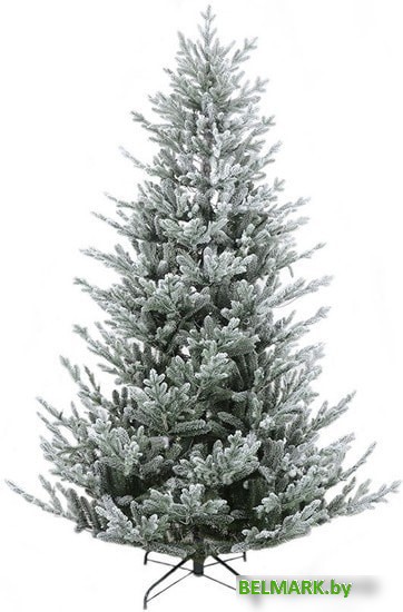Ель GrandSiti Адель 2.4 м - фото