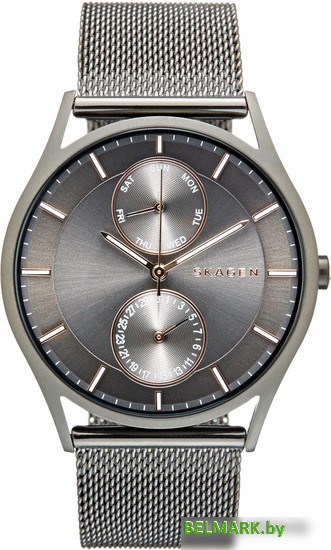 Наручные часы Skagen SKW6180 - фото