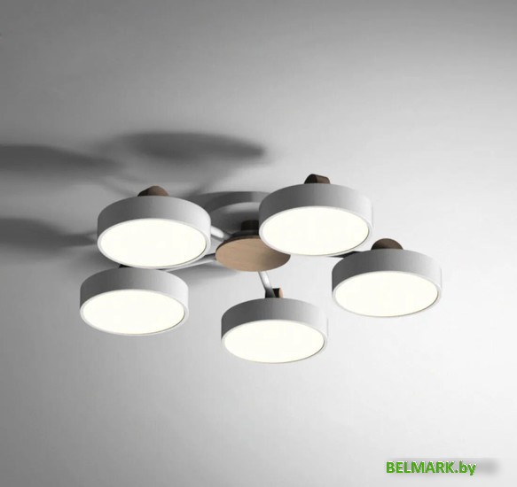 Припотолочная люстра ImperiumLoft Move_01 178249-26 - фото