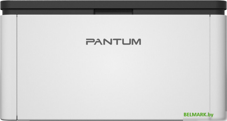 Принтер Pantum BP1800 - фото2