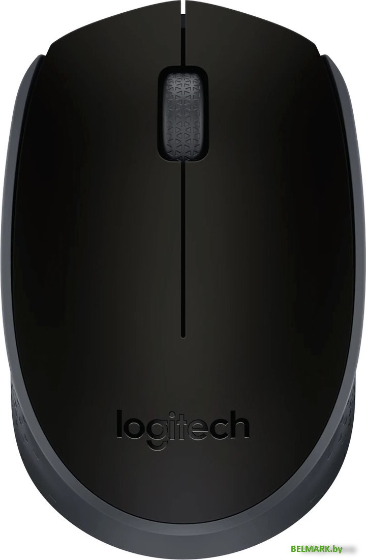Мышь Logitech M171 (черный) - фото