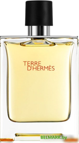 Hermes Terre d'Hermes EdT (100 мл) - фото