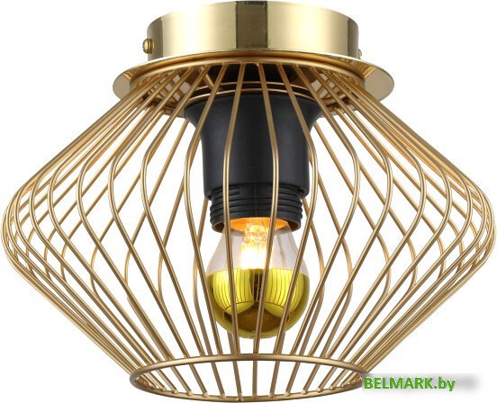 Припотолочная люстра Lussole LSP-8248 - фото