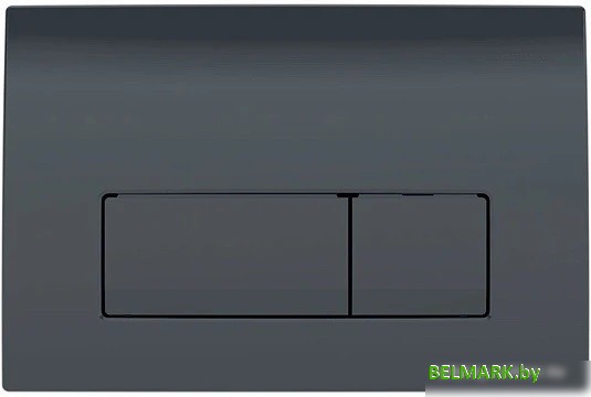 Панель смыва Geberit Delta 50 115.119.DW.1 (черный глянцевый) - фото