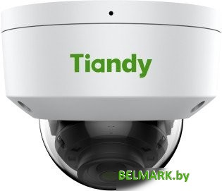 IP-камера Tiandy TC-C34KN I3/E/Y/C/SD/2.8mm/V4.3 - фото