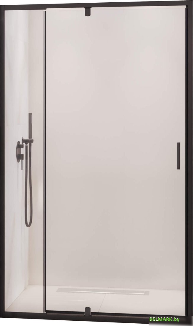 Душевая дверь RGW PA-008B 350800878-14 - фото