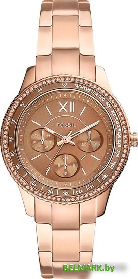 Наручные часы Fossil Stella ES5109 - фото