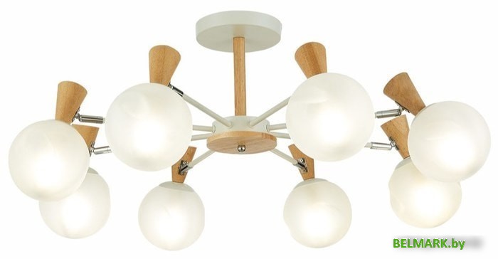 Люстра средней высоты Evoluce Catania SLE220702-08 - фото