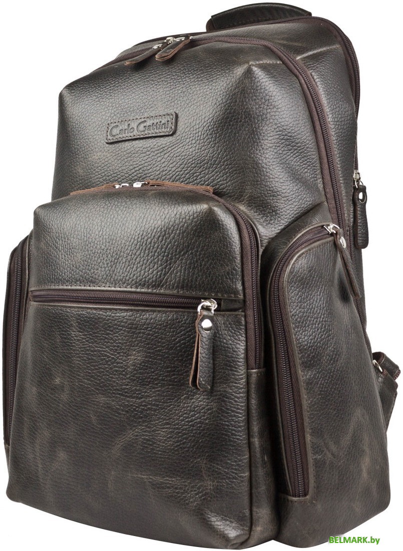 Городской рюкзак Carlo Gattini Sinfonica Bertario 3102-04 (темно-коричневый) - фото