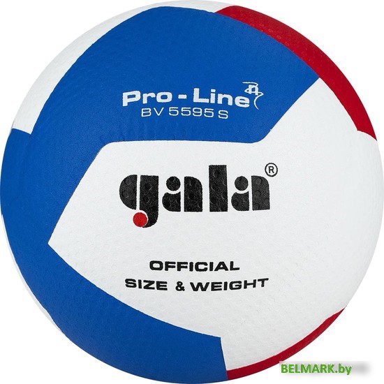 Волейбольный мяч Gala Pro-Line 12 BV 5595 SA (размер 5, белый/красный/голубой) - фото