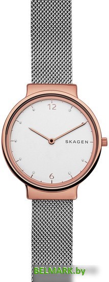 Наручные часы Skagen SKW2616 - фото