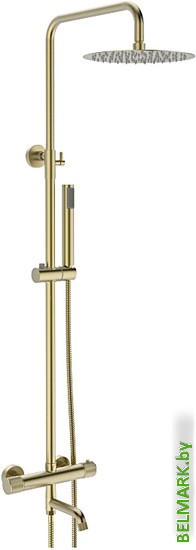 Душевая система Vieir V403561-S - фото