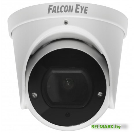 IP-камера Falcon Eye FE-IPC-DV2-40pa - фото