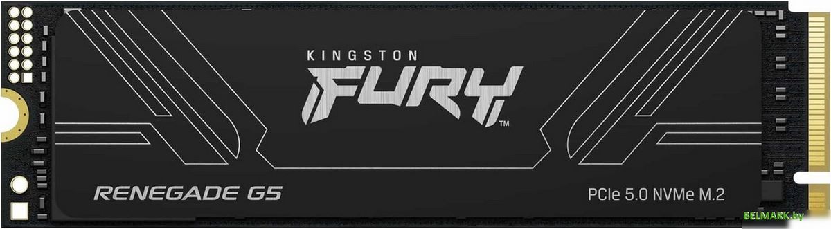 SSD Kingston Fury Renegade G5 4TB SFYR2S/4T0 - фото