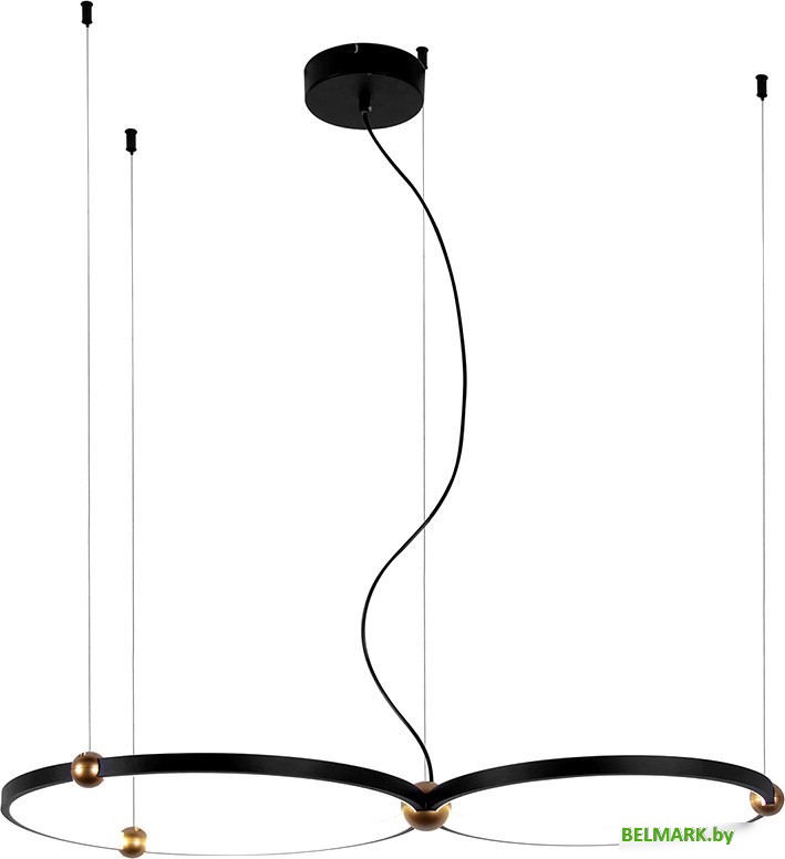 Подвесная люстра Favourite 4569-2P - фото