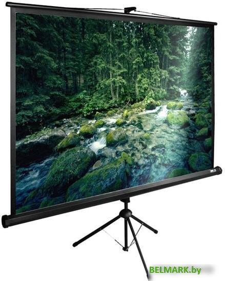 Проекционный экран CACTUS TriExpert 165x220 CS-PSTE-220X165-BK - фото