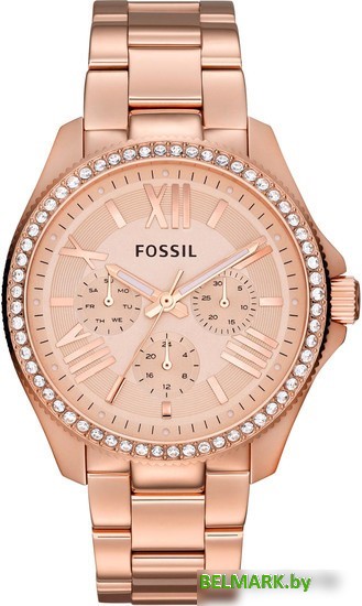 Наручные часы Fossil AM4483 - фото