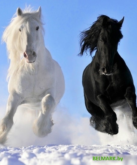 Инфракрасный обогреватель БРТЗ Дыхание тепла Пегас ЭОБН-0.4-220-УХЛ4 - фото