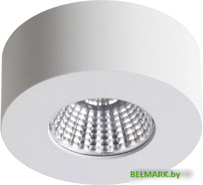 Точечный светильник Odeon Light Bene 4282/7СL - фото