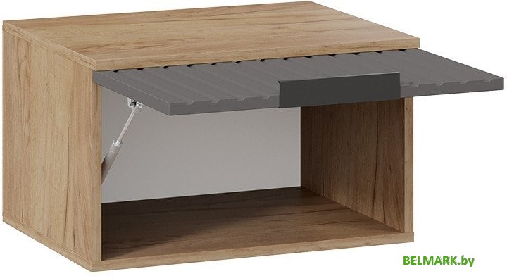 Шкаф распашной Трия Хилтон Исп.2.1 (дуб крафт золотой/графит матовый) - фото2